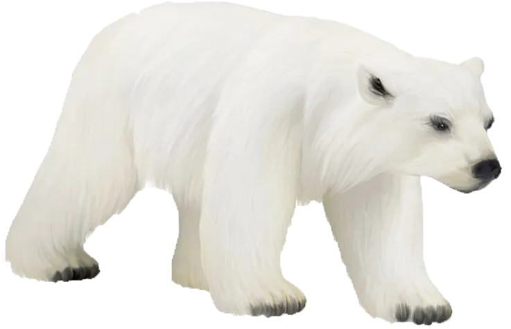 bear with a scarf, winter fashion, cute animal png